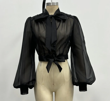 Black sheer blouse with long sleeves on a mannequin against a white background