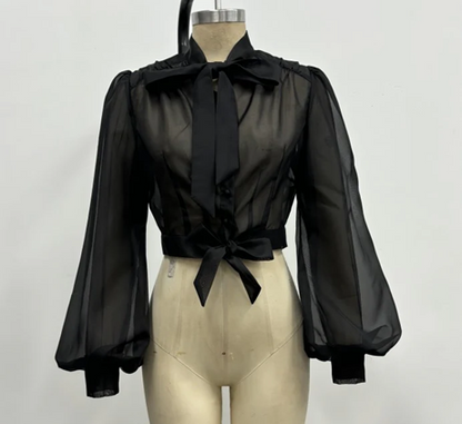 Black sheer blouse with long sleeves on a mannequin against a white background